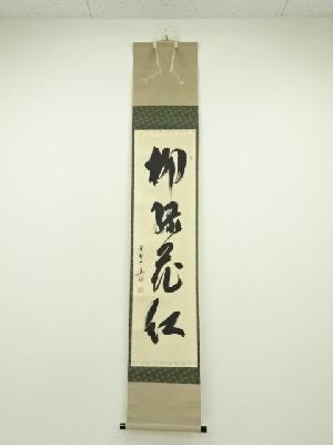 大徳寺　長谷川大真筆　「柳緑花紅」一行書　肉筆紙本掛軸（共箱）